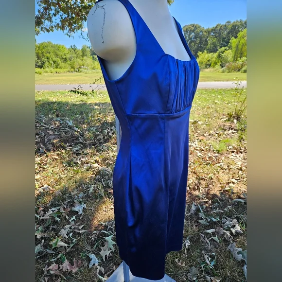 Calvin Klein Royal Blue Dress - Picture 5 of 11